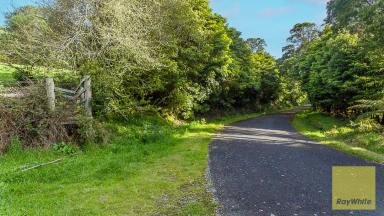 Other (Rural) For Sale - VIC - Foster - 3960 - Grazing Land on Edge of Town  (Image 2)