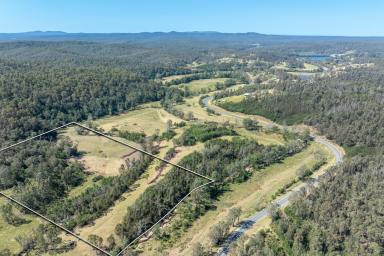 Residential Block For Sale - NSW - Nelligen - 2536 - Nelligen Acreage with Creek Frontage  (Image 2)