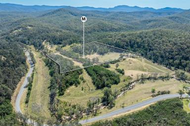 Residential Block For Sale - NSW - Nelligen - 2536 - Nelligen Acreage with Creek Frontage  (Image 2)