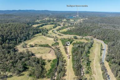 Residential Block For Sale - NSW - Nelligen - 2536 - Nelligen Acreage with Creek Frontage  (Image 2)