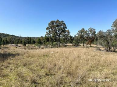 Lifestyle For Sale - NSW - Bundarra - 2359 - AUSSIE BUSH BLOCK  (Image 2)