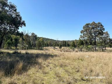 Lifestyle For Sale - NSW - Bundarra - 2359 - AUSSIE BUSH BLOCK  (Image 2)