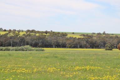 Farmlet For Sale - WA - Dudinin - 6363 - LIFESTYLE PARADISE (409 acres)  (Image 2)