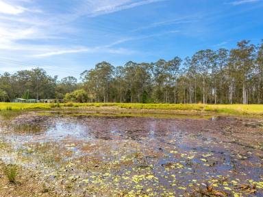 House Sold - NSW - Hillville - 2430 - NATURAL PARADISE BACKING BO BO CREEK  (Image 2)