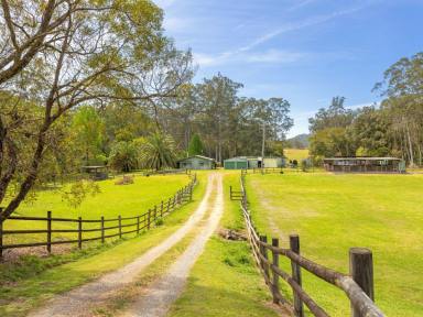 House Sold - NSW - Hillville - 2430 - NATURAL PARADISE BACKING BO BO CREEK  (Image 2)