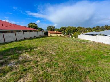 Residential Block For Sale - WA - Dawesville - 6211 - big live style block  (Image 2)