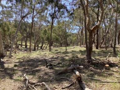 Lifestyle Sold - VIC - Beaufort - 3373 - 16.18Ha (approx. 40 acres); Bush Block; 2 Titles; Farm Zone  (Image 2)