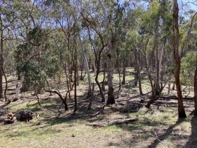 Lifestyle Sold - VIC - Beaufort - 3373 - 16.18Ha (approx. 40 acres); Bush Block; 2 Titles; Farm Zone  (Image 2)