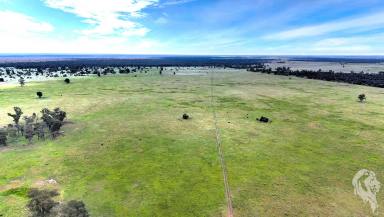 Mixed Farming For Sale - NSW - Wee Waa - 2388 - 805 ACRES - MIXED FARMING WITH NOTABLE IMPROVEMENTS  (Image 2)