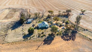 House For Sale - VIC - Berriwillock - 3531 - Serene Rural Retreat: 5.3 Acre Property with Renovation Potential  (Image 2)