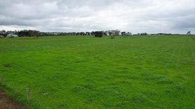 Lifestyle For Sale - VIC - Wangoom - 3279 - Picturesque – Position – Productivity  (Image 2)