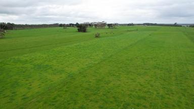 Lifestyle For Sale - VIC - Wangoom - 3279 - Picturesque – Position – Productivity  (Image 2)