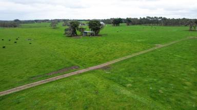 Livestock For Sale - VIC - Wangoom - 3279 - Picturesque – Position – Productivity  (Image 2)