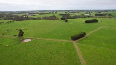 Livestock For Sale - VIC - Cudgee - 3265 - Productive outpaddock with outstanding homesites  (Image 2)