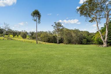 House For Sale - QLD - Mount Mee - 4521 - Fully Renovated Acreage Home  (Image 2)