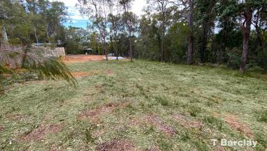 Residential Block For Sale - QLD - Lamb Island - 4184 - Elevated, Cleared 592m2 Block in Quiet Central Location  (Image 2)