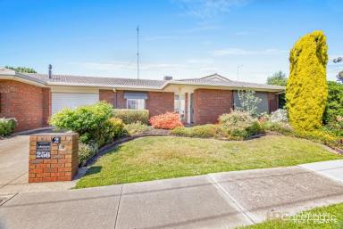 House Leased - VIC - Horsham - 3400 - 2 Bedroom Central Unit  (Image 2)