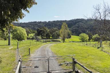 Acreage/Semi-rural For Sale - VIC - Creightons Creek - 3666 - OFFERS BETWEEN $900,000 & $960,000 CONSIDERED.
Charming Country Cottage with 360 Degrees Verandah on 65 Acres.  (Image 2)