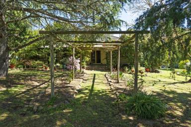 Acreage/Semi-rural For Sale - VIC - Creightons Creek - 3666 - OFFERS BETWEEN $900,000 & $960,000 CONSIDERED.
Charming Country Cottage with 360 Degrees Verandah on 65 Acres.  (Image 2)