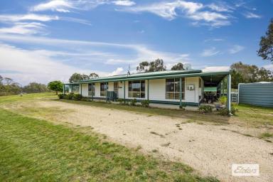 Lifestyle For Sale - VIC - Crowlands - 3377 - Set up perfectly for horses and dogs, owner is motivated to sell!  (Image 2)