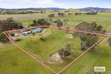 Lifestyle For Sale - VIC - Crowlands - 3377 - Set up perfectly for horses and dogs, owner is motivated to sell!  (Image 2)