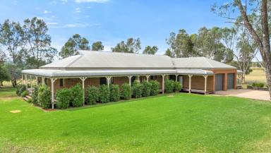 Lifestyle Sold - NSW - Tamworth - 2340 - DON'T COMPROMISE ON LOCATION OR QUALITY  (Image 2)