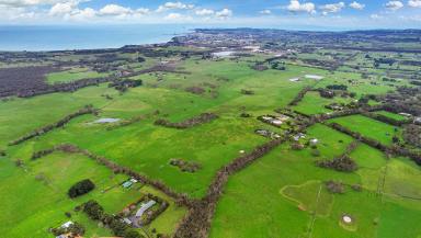 Residential Block For Sale - VIC - Portland North - 3305 - Versatile Land In Beautiful Surrounds  (Image 2)