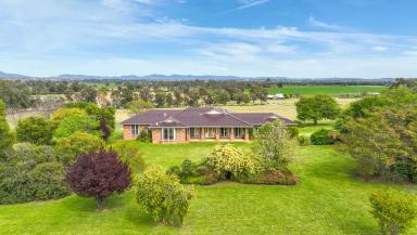 Lifestyle For Sale - NSW - Tamworth - 2340 - CITY CONVENIENCE, COUNTRY CHARM  (Image 2)