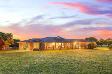 Lifestyle For Sale - NSW - Tamworth - 2340 - CITY CONVENIENCE, COUNTRY CHARM  (Image 2)