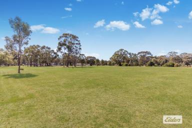 House Sold - VIC - Newbridge - 3551 - 3.26 Ac / 1.32 Ha With Shedding Plus Additional Grazing Licence (3.71 Ac / 1.50Ha)  (Image 2)