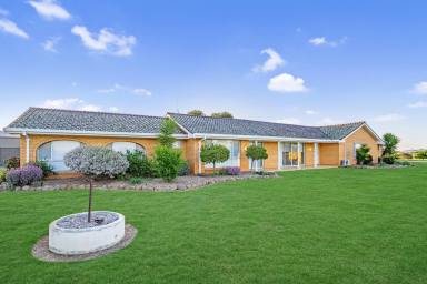 Mixed Farming Sold - NSW - Cowra - 2794 - RENOVATED, EXPANSIVE HOME SET ON 313ACRES* JUST 3MINS FROM TOWN!  (Image 2)