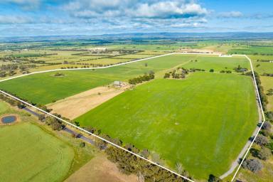 Mixed Farming Sold - NSW - Cowra - 2794 - RENOVATED, EXPANSIVE HOME SET ON 313ACRES* JUST 3MINS FROM TOWN!  (Image 2)