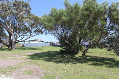 Residential Block For Sale - VIC - McLoughlins Beach - 3874 - FORESHORE LAND  (Image 2)