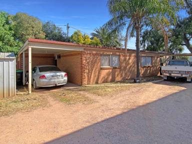 Block of Units For Sale - NSW - Leeton - 2705 - DEVELOPERS DELIGHT  (Image 2)