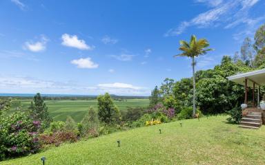 House For Sale - QLD - Cooya Beach - 4873 - SIMPLY BREATHTAKING.  (Image 2)