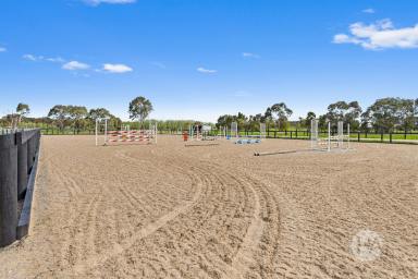 Acreage/Semi-rural For Sale - VIC - Moorooduc - 3933 - Rural Lifestyle Meets Equestrian Excellence on 10 Acres  (Image 2)