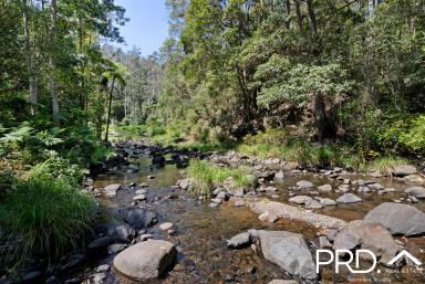 Lifestyle For Sale - NSW - Upper Horseshoe Creek - 2474 - Creekside Rainforest Retreat  (Image 2)