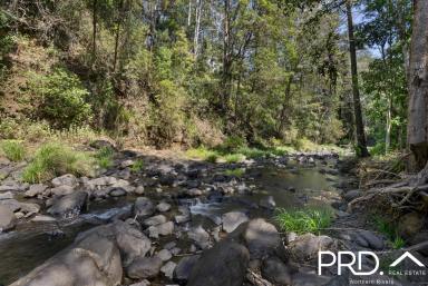 Lifestyle For Sale - NSW - Upper Horseshoe Creek - 2474 - Creekside Rainforest Retreat  (Image 2)