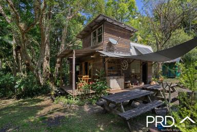 Lifestyle For Sale - NSW - Upper Horseshoe Creek - 2474 - Creekside Rainforest Retreat  (Image 2)