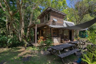 Lifestyle For Sale - NSW - Upper Horseshoe Creek - 2474 - Creekside Rainforest Retreat (Image 2)