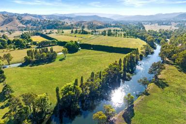 Lifestyle For Sale - VIC - Thornton - 3712 - GOULBURN RIVER GEM - ICONIC ESTATE 1.9KM FRONTAGE  (Image 2)