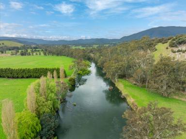 Farmlet For Sale - VIC - Thornton - 3712 - ICONIC ESTATE WITH 1.9KM OF GOULBURN RIVER FRONTAGE  (Image 2)