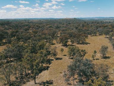 Lifestyle For Sale - QLD - Stanthorpe - 4380 - OFTEN SOUGHT, SELDOM FOUND  (Image 2)