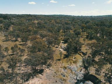 Lifestyle For Sale - QLD - Stanthorpe - 4380 - OFTEN SOUGHT, SELDOM FOUND  (Image 2)