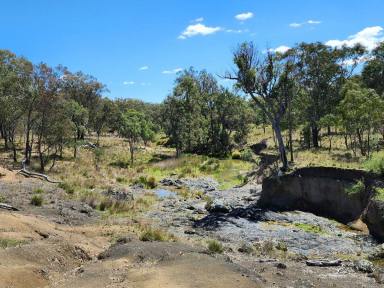 Lifestyle For Sale - QLD - Stanthorpe - 4380 - OFTEN SOUGHT, SELDOM FOUND  (Image 2)