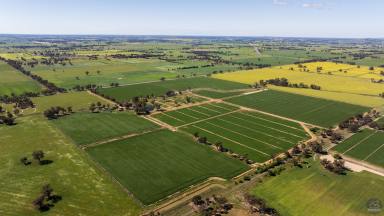 Cropping For Sale - VIC - Pine Lodge - 3631 - "Beards"  (Image 2)