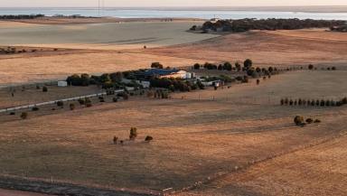 Acreage/Semi-rural For Sale - SA - Streaky Bay - 5680 - Acreage and Serenity on the Stunning Coastal Eyre Peninsula  (Image 2)