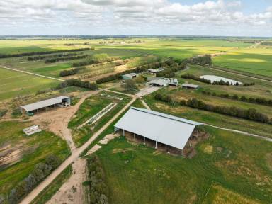 Dairy For Sale - VIC - Bamawm - 3561 - Drought Proof Irrigated Dairy/Grazing Opportunity  (Image 2)