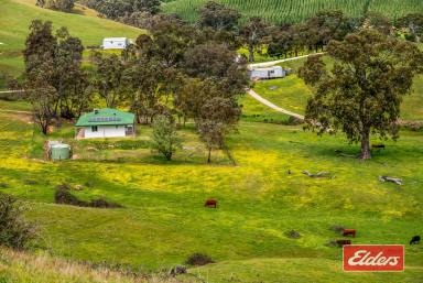 House For Sale - SA - Kersbrook - 5231 - COUNTRY PARADISE/ RURAL OUTLOOK /QUIET LOCATION/ 78 ACRES  (Image 2)