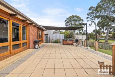 House Sold - TAS - Miandetta - 7310 - NOTHING TO DO BUT MOVE IN  (Image 2)